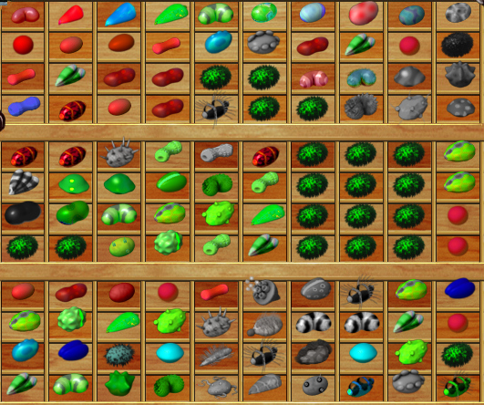 plant tycoon imported seeds