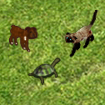 Pets-Preview.png