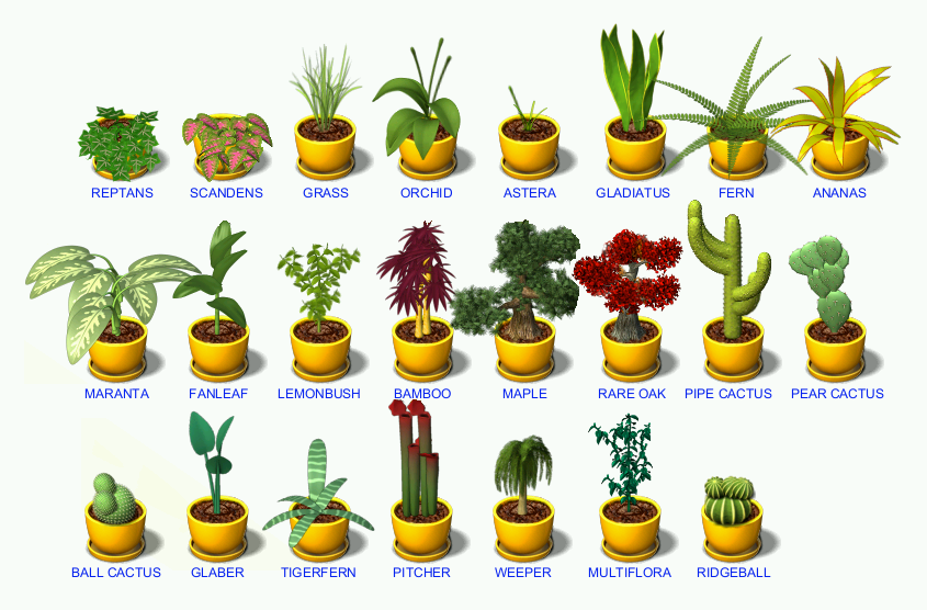 magic plants plant tycoon