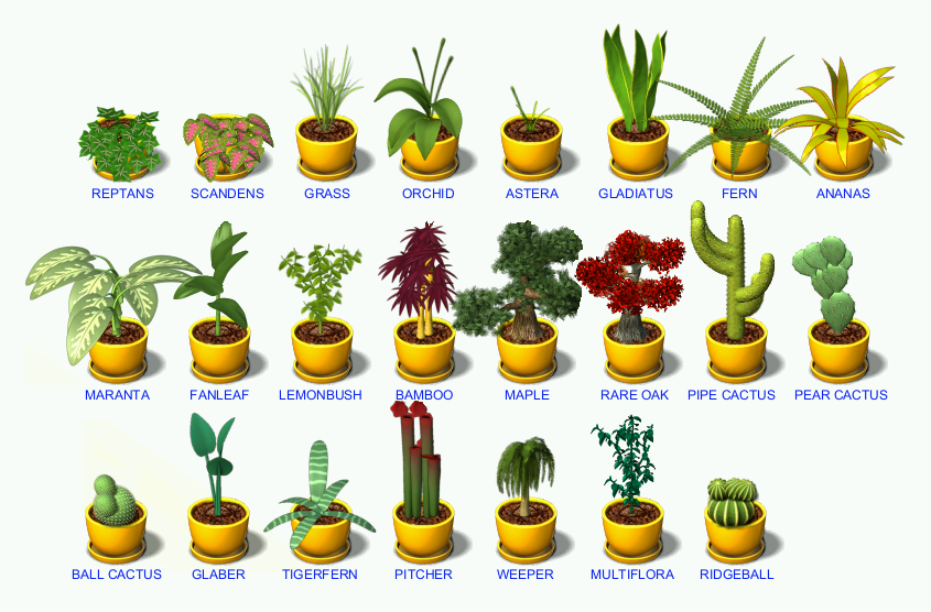 plant tycoon seed chart