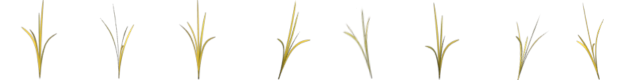 3357-LemonGrass.png