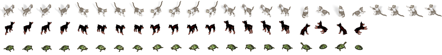 pet_grid.png